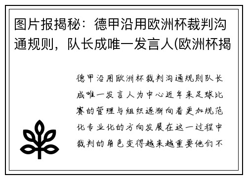 图片报揭秘：德甲沿用欧洲杯裁判沟通规则，队长成唯一发言人(欧洲杯揭幕战主裁判)