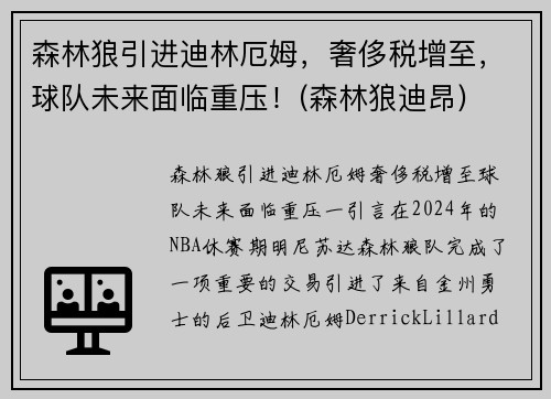 森林狼引进迪林厄姆，奢侈税增至，球队未来面临重压！(森林狼迪昂)