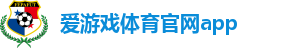 爱游戏体育官网app